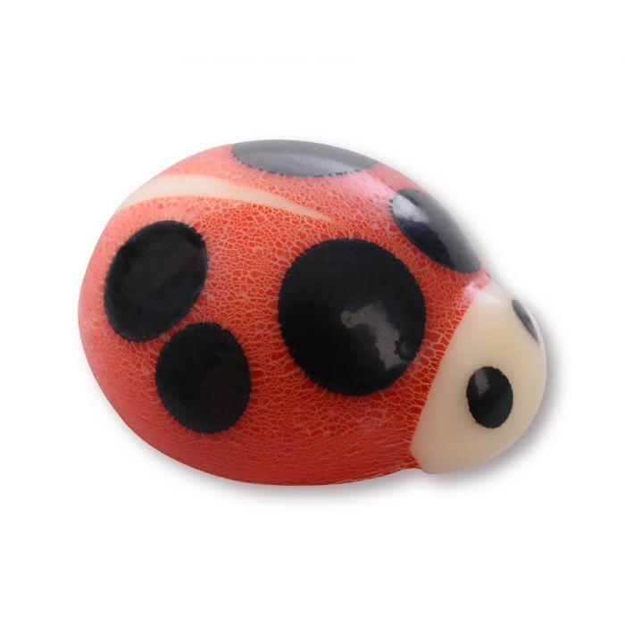 LADYBIRD