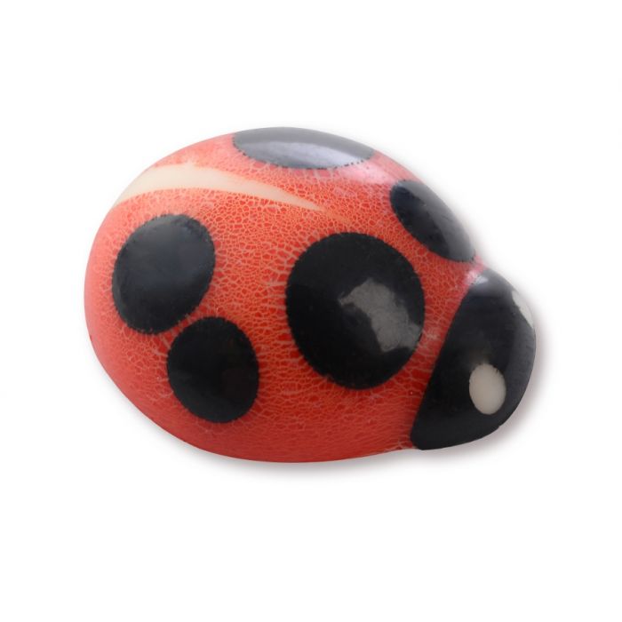 LADYBIRD