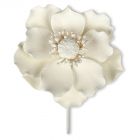 Fiori decorativi - Anemone