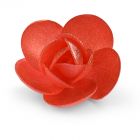 RED LINDA ROSE WITH RED GLITTER D5,5 WF