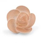 WHITE LINDA ROSE WITH GOLD GLITTER D5,5