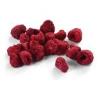 FREEZE-DRIED RASPBERRY WHOLE AND IN PIECES  