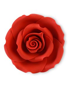 Rose decorative - Rose rosse