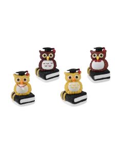 Soggetti in gelatina e zucchero - Laurea